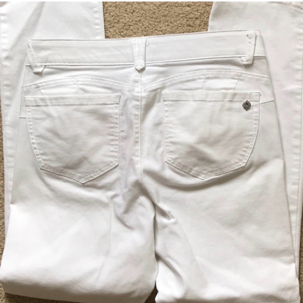 Democracy “Ab”solution - Picture 3 of 5